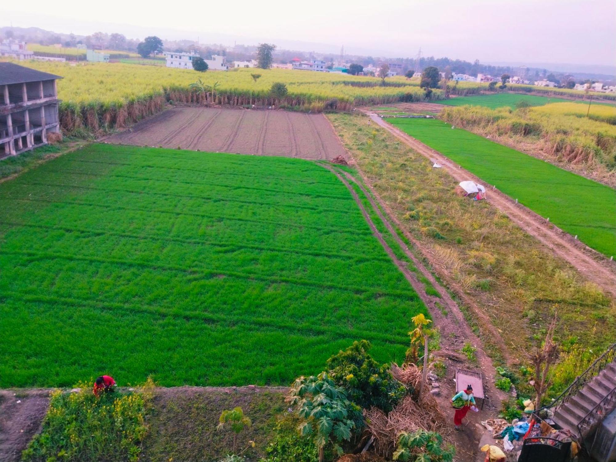 Airport Luxury Nature Homestay- Near Jolly Grant Airport Dehradun Doiwala Exterior photo